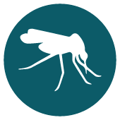 Mosquito Pest Control